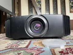 Item thumbnail for item 8a2ae7ad-5f4a-45f6-9881-ca6c3382ff42