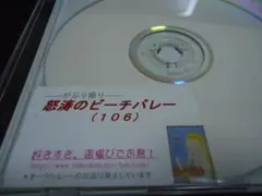 ビーチバレーDVD