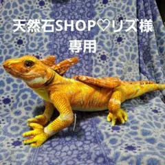 爬虫類リアルぬいぐるみ(バジリスク)