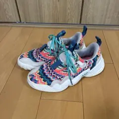 トレイヤング1 バッシュ