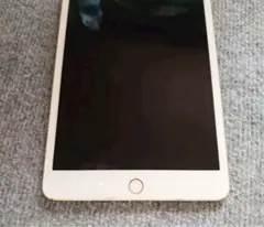 限定出品‼️ APPLE iPad mini 4 IPAD MINI 4 セット可