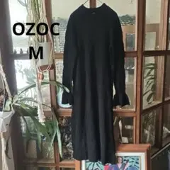 Item thumbnail for item f1bec213-99b3-4599-a842-cecbb9dd764a