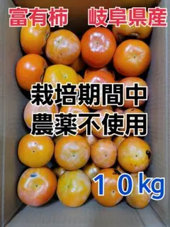 73 富有柿 農薬不使用 甘柿