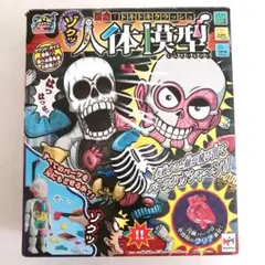 恐怖！ドキドキクラッシュ　ゾクッ人体模型
