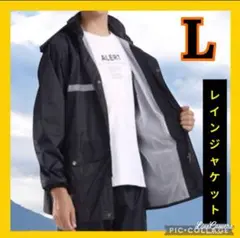 Item thumbnail for item a8e4189e-177a-4c8e-bb30-b7d95b230da4