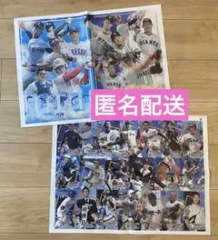 スポーツ報知「青春ジャイアンツ」特別版タブロイド紙　巨人　新聞　読売ジャイアンツ