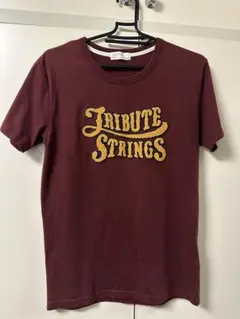 BACK NUMBER TRIBUTE STRINGS Tシャツ M