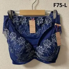 Item thumbnail for item a19639b3-8751-4939-b8e4-b9055fcf652e