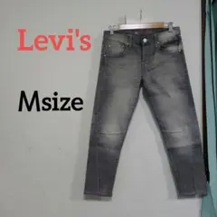 Item thumbnail for item c9b5a639-9ea2-43d5-922c-597c4350fc83