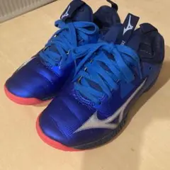 卓球シューズ21cm MIZUNO ウエーブドライブ NEO2