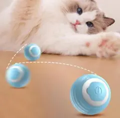 【再入荷】 猫　ペット　おもちゃ　USB充電　ブルー1　ストレス発散　肥満防止