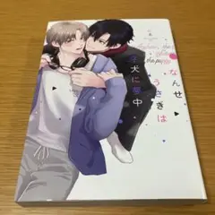なんせうさぎは子犬に夢中