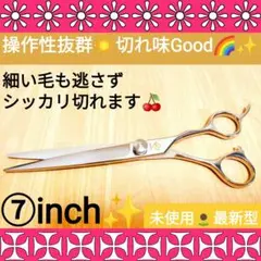 Item thumbnail for item 1f02b8e2-3b75-4020-aaf1-b6fa7f42366f