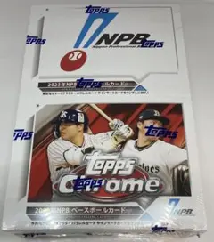 大谷翔平 オーナーズリーグ カード インフィニティ OL14 - メルカリ