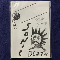 【新品】sonic youth the eternal アートブック 封入特典