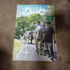 Item thumbnail for item 79f195ec-d3ff-49c9-965c-be03a0276d08