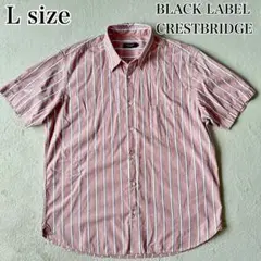 Item thumbnail for item 5fbcdfee-b913-4ef7-a5a0-493e419b78ae