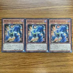 雷獣龍サンダードラゴン　スーパーレア