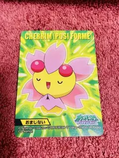 ポケモン カード チェリム （ポジフォルム） おまじない