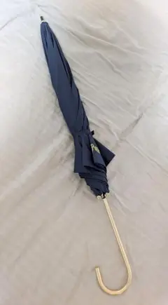 DIANA×ハリーポッター　大広間シリーズ　晴雨兼用長傘