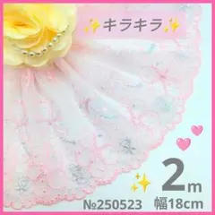 №250523　チュールレース