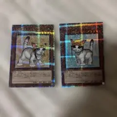 美品　遊戯王　レスキュー・キャット　25thレア 2枚セット　絵違い