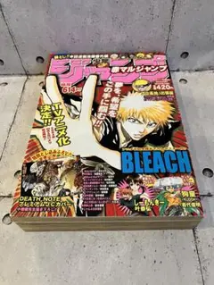 赤マルジャンプ 2004SUMMER少年ジャンプ特別編集 赤マルジャンプ2004SUMMER（赤マルジャンプ2004SUMMER）