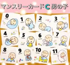 マンスリーカード C男の子　ましかくアルバム　アルバス　月齢カード