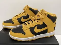NIKE DUNKHI PREMIUM