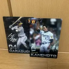 金本 原口 a4 下敷き