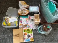 Item thumbnail for item d4b00d18-977d-4454-a0ae-a517a2df1e8e