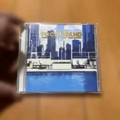 VOCALAND REBIRTH Extended Mix by 角松敏生 CD