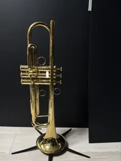YTR-8340EM付属ケース YAMAHA YAMAHA(ヤマハ) TRC-8340EM トランペット ケース
