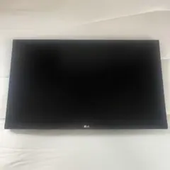 24QP500-B LG モニター本体と電源アダプターのみ