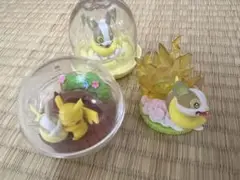 ポケモン ワンパチ ピカチュウ ポケットモンスター