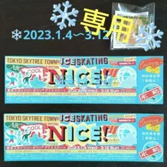東京スカイツリータウン☆アイススケートペアチケット&ソラカラちゃんピンバッチ