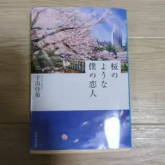 桜のような僕の恋人