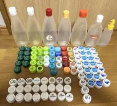ボトルキャップ(96個)とプラスチックボトルセット(6個)