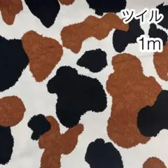 Item thumbnail for item ce26e1a2-45fa-471b-9eac-5e9e3e64a6da