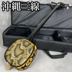 沖縄三線 蛇本皮 セミハードケース、バチ、新品の弦付き 沖縄三線 蛇本皮 セミハードケース、バチ、新品の弦付き