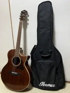 2025年最新】IBANEZ AEの人気アイテム - メルカリ