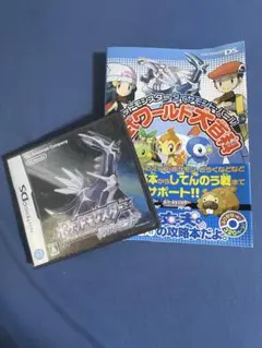 DS ソフト ポケットモンスター ダイヤモンド 公式ワールド大百科付き