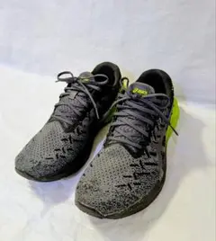 アシックス ランニングシューズ DYNABLAST 28cm 1011A819