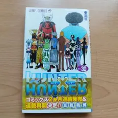 HUNTER×HUNTER 30