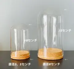 ガラスドームセット 2個　大×１　小×1
