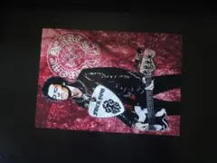 A4 額付き ポスター シドビシャス Sid Vicious クロム オマージュ