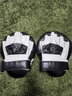新品ボクシンググローブとミット