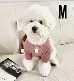 Item thumbnail for item 5a95e3df-dc16-400c-8e57-b7bd752bae82