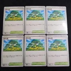 活力の森 6枚セット ポケモンカード