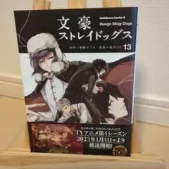 文豪ストレイドッグス 13